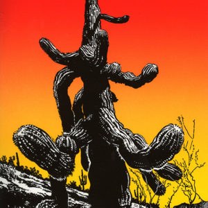 Cave Creek Crazy Arms